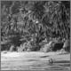 ost-thailand